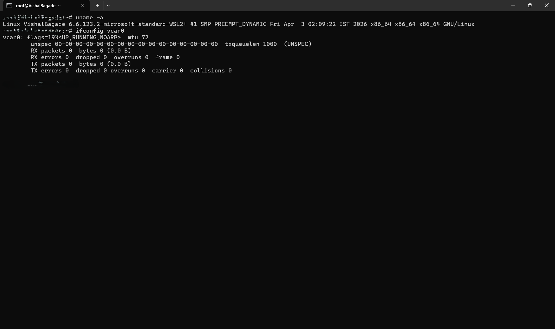 Terminal screenshot showing successful creation of vcan0 interface in WSL2